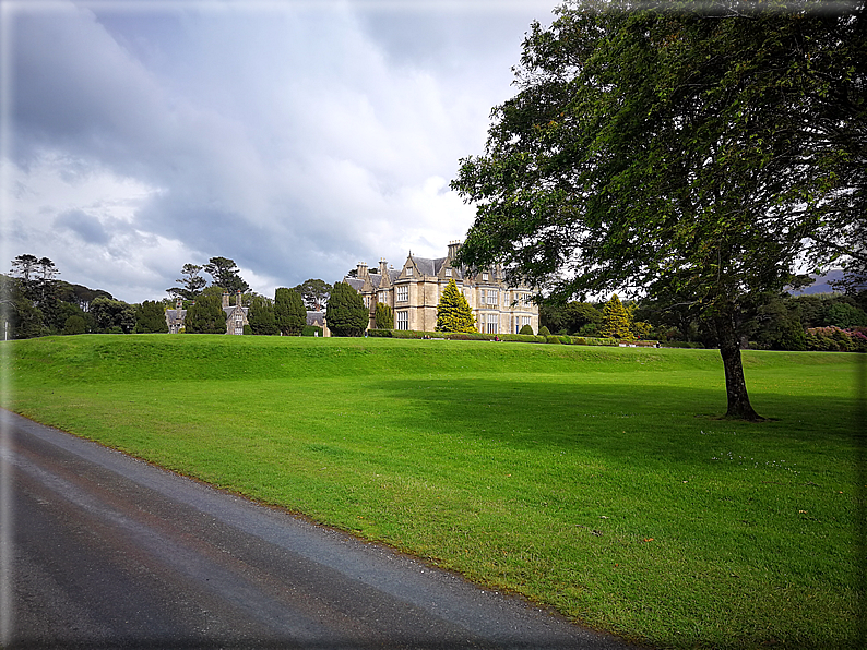 foto Parco di Killarney